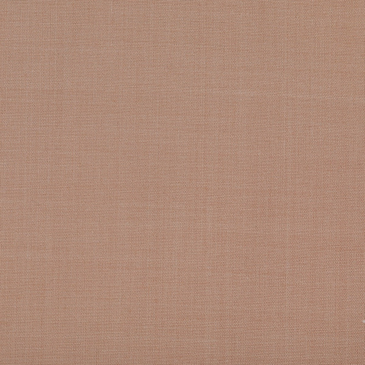 Rose Beige